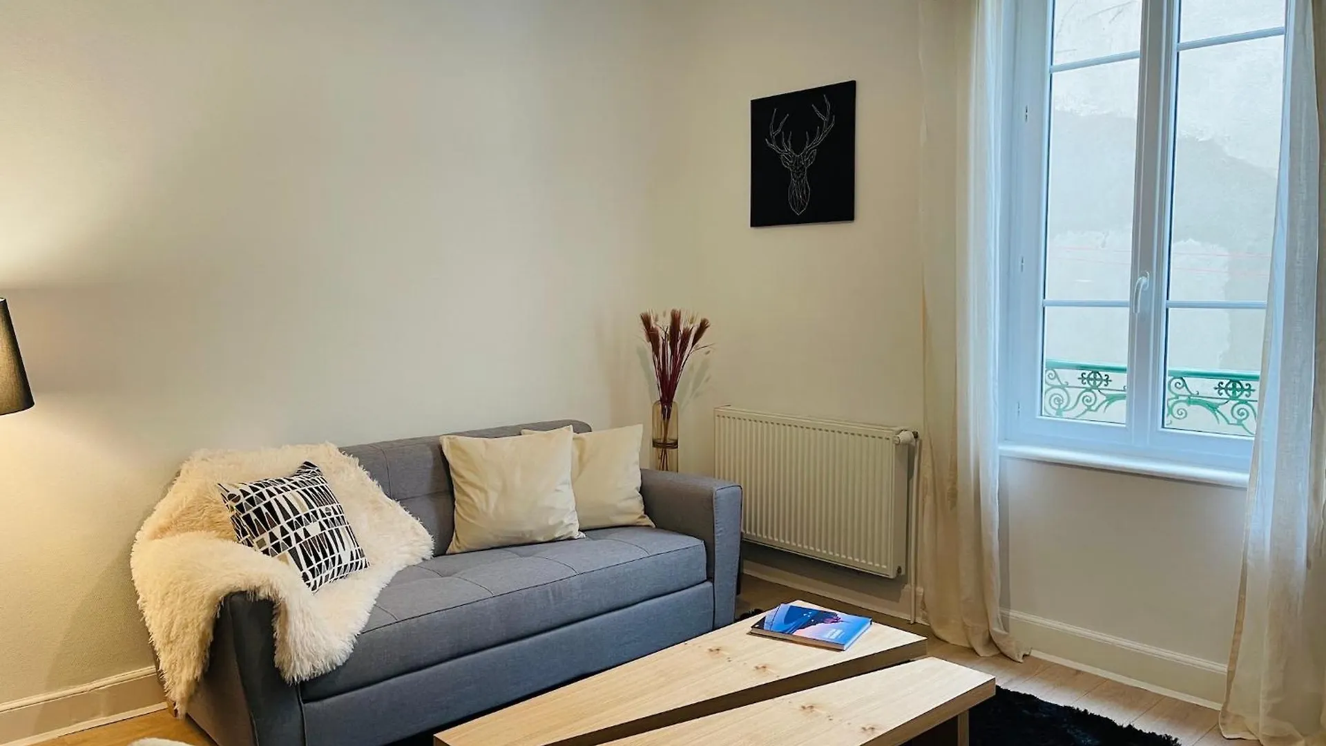Le Moinet Fayard Apartment Vichy