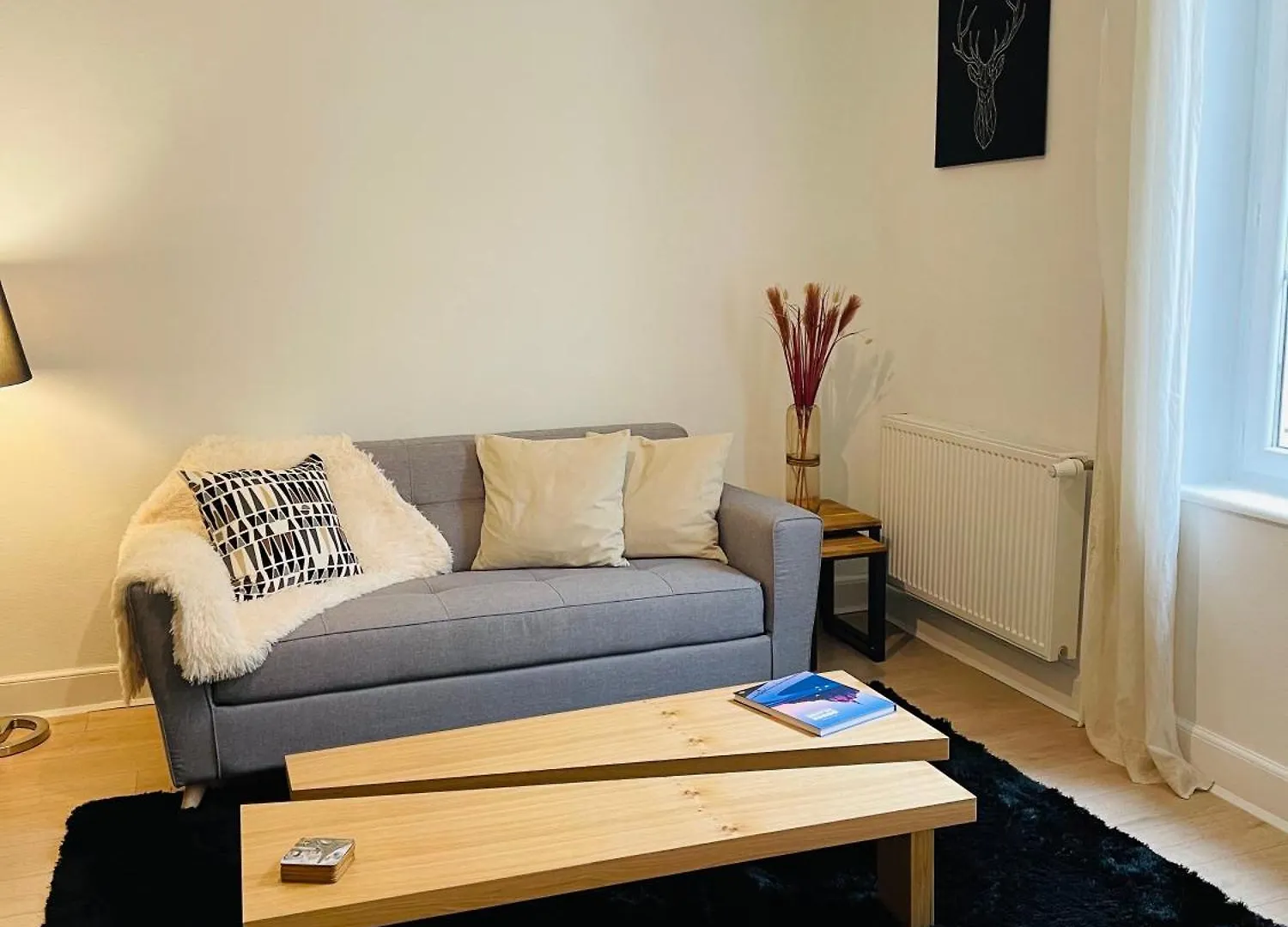 Le Moinet Fayard Apartment Vichy 0*,